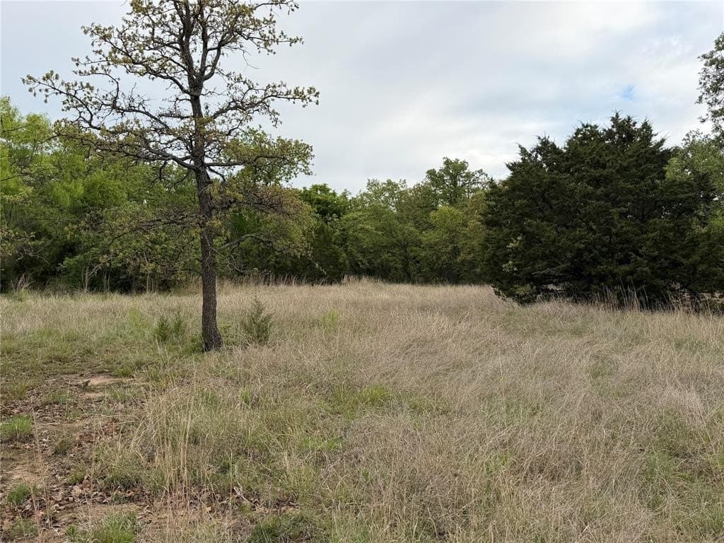 18.65 acres in Parker County featured view