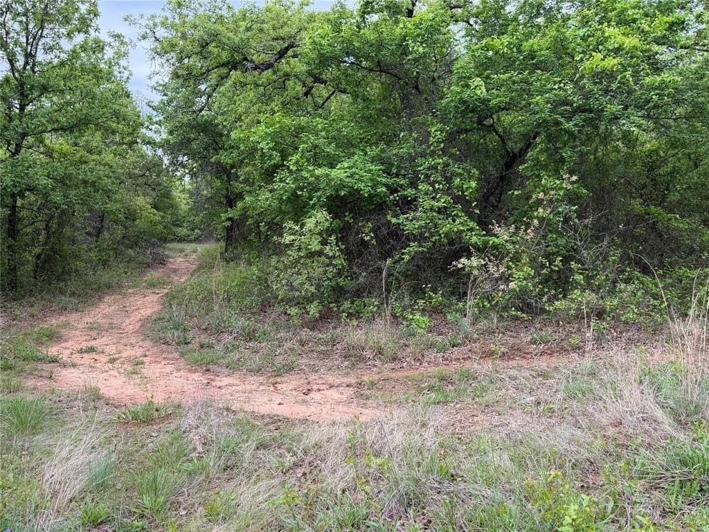 18.65 acres in Parker County gallery image 3