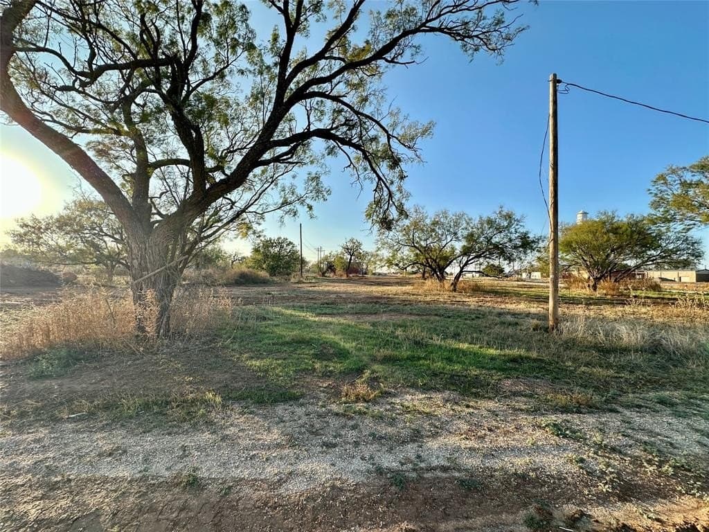 1.19 acres in Taylor County gallery image 3