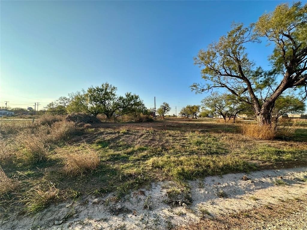 1.19 acres in Taylor County gallery image 4