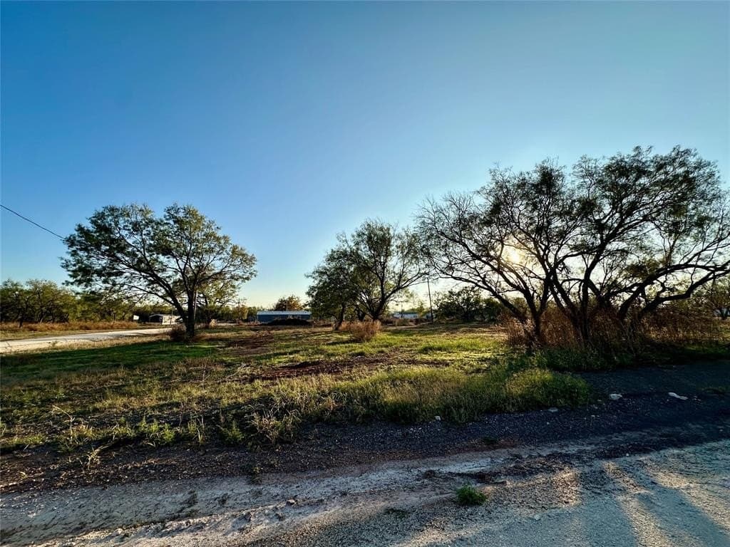 1.19 acres in Taylor County gallery image 2