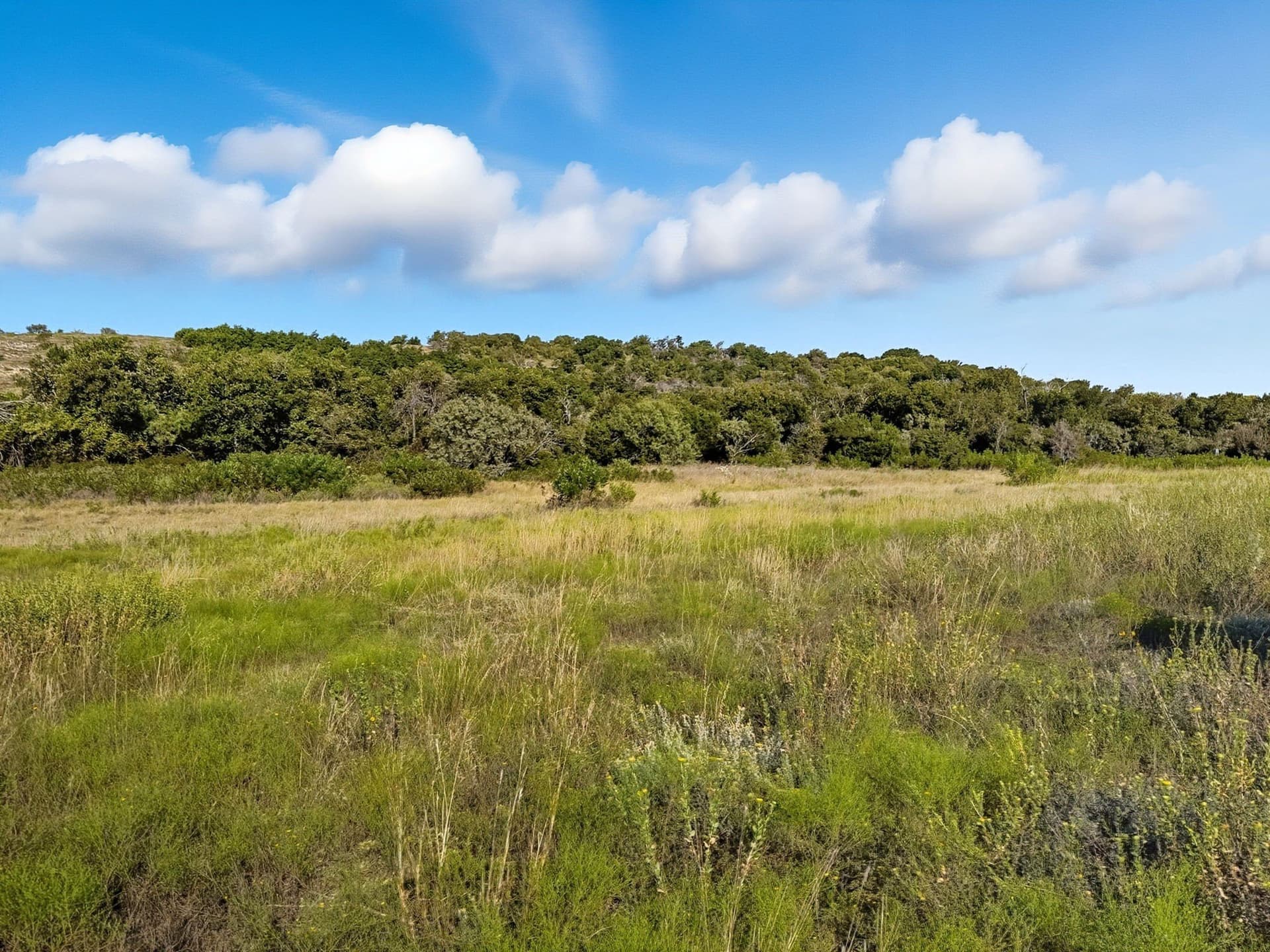 44.84 acres in Hamilton County gallery image 2