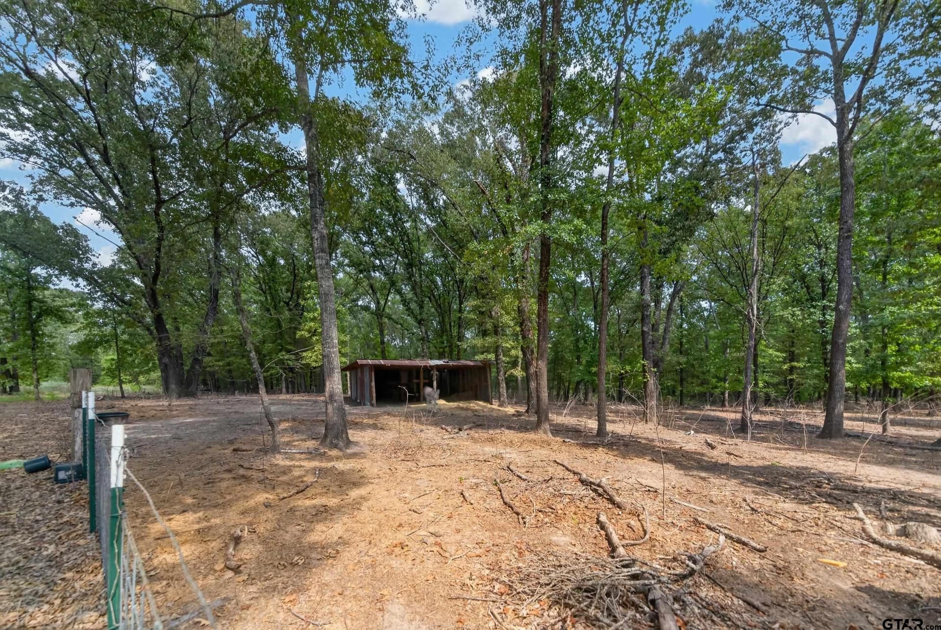 25 acres in Henderson County - photo 42
