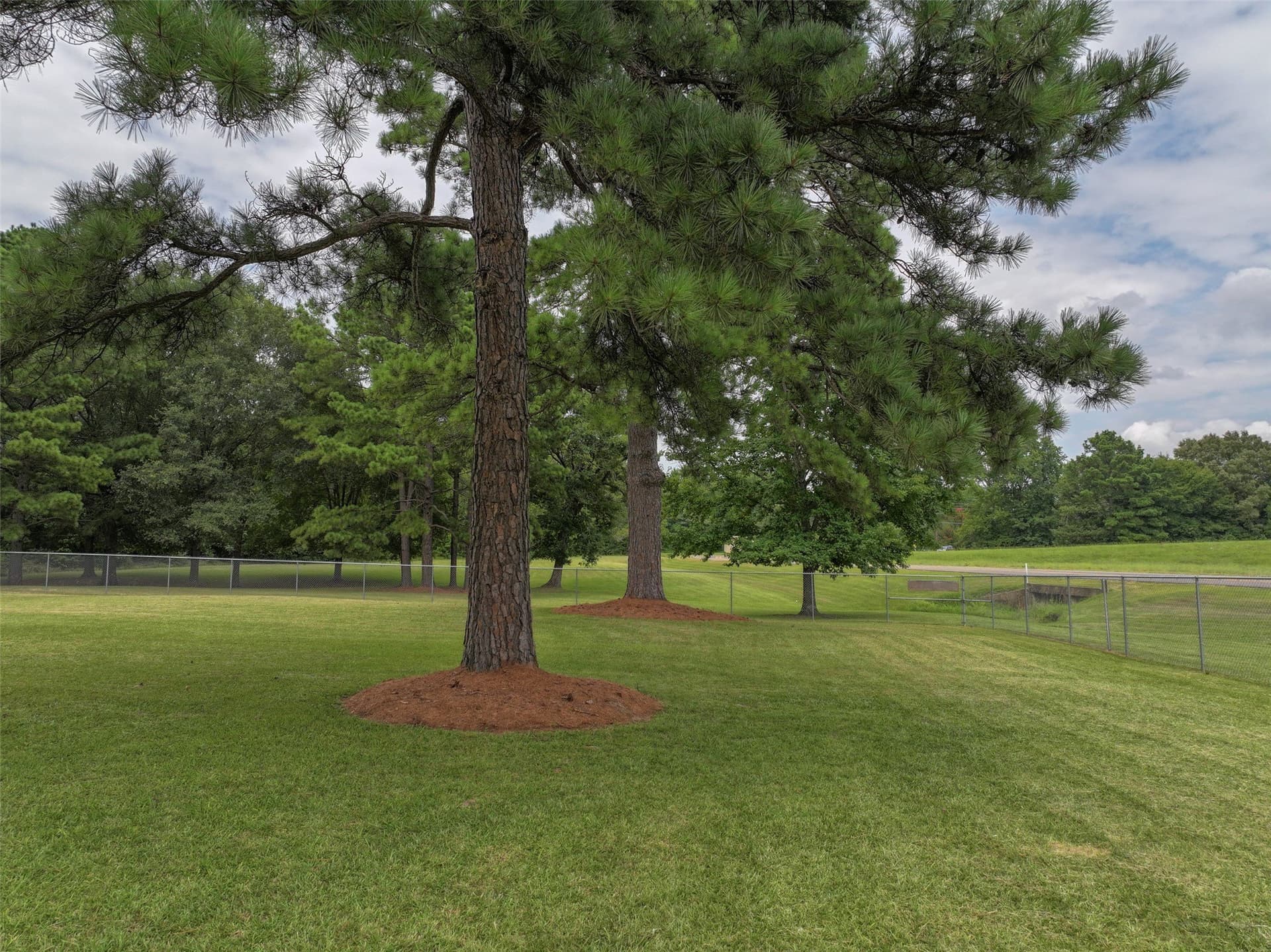 5.28 acres in Bowie County - photo 14