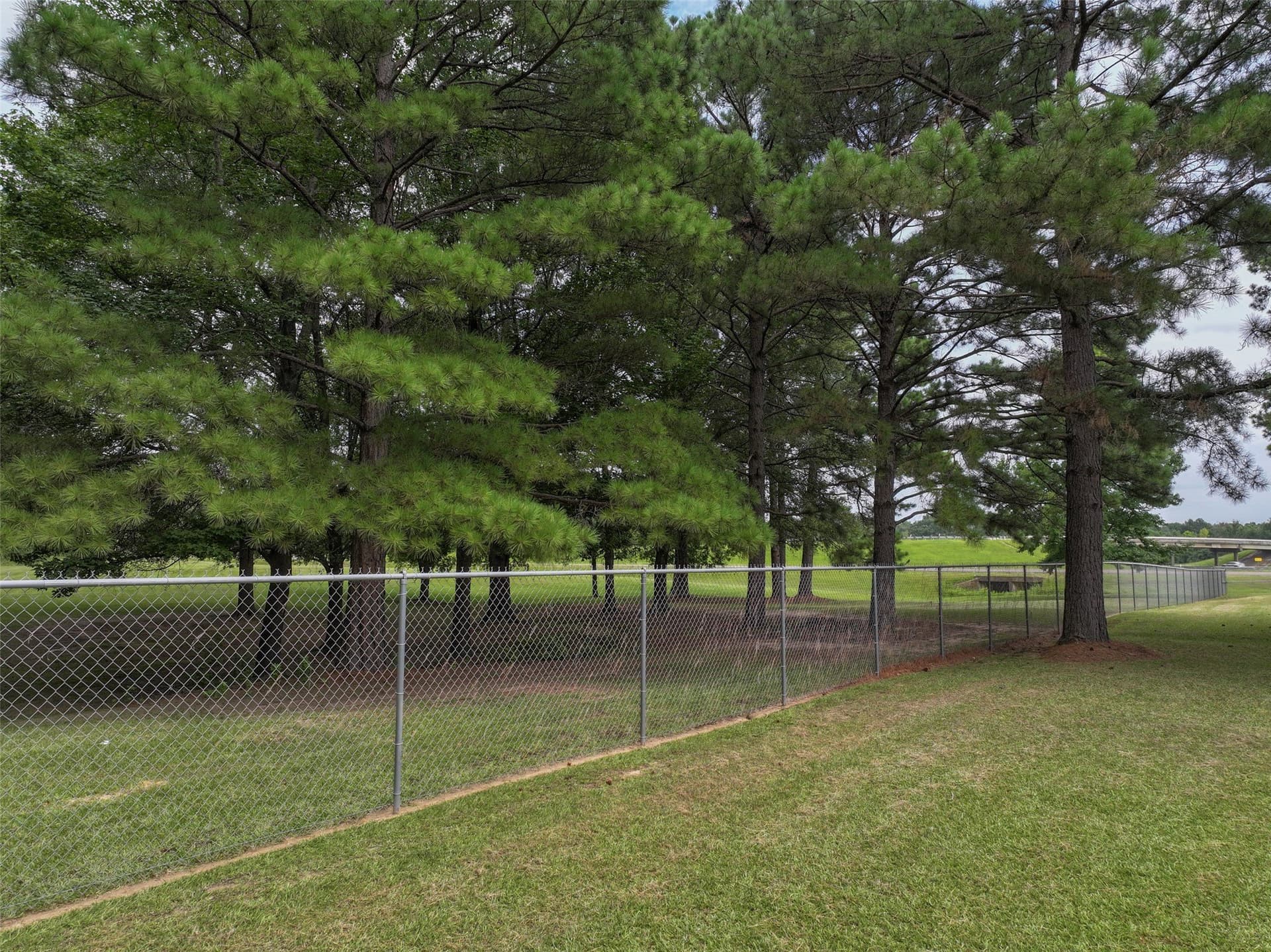 5.28 acres in Bowie County - photo 15