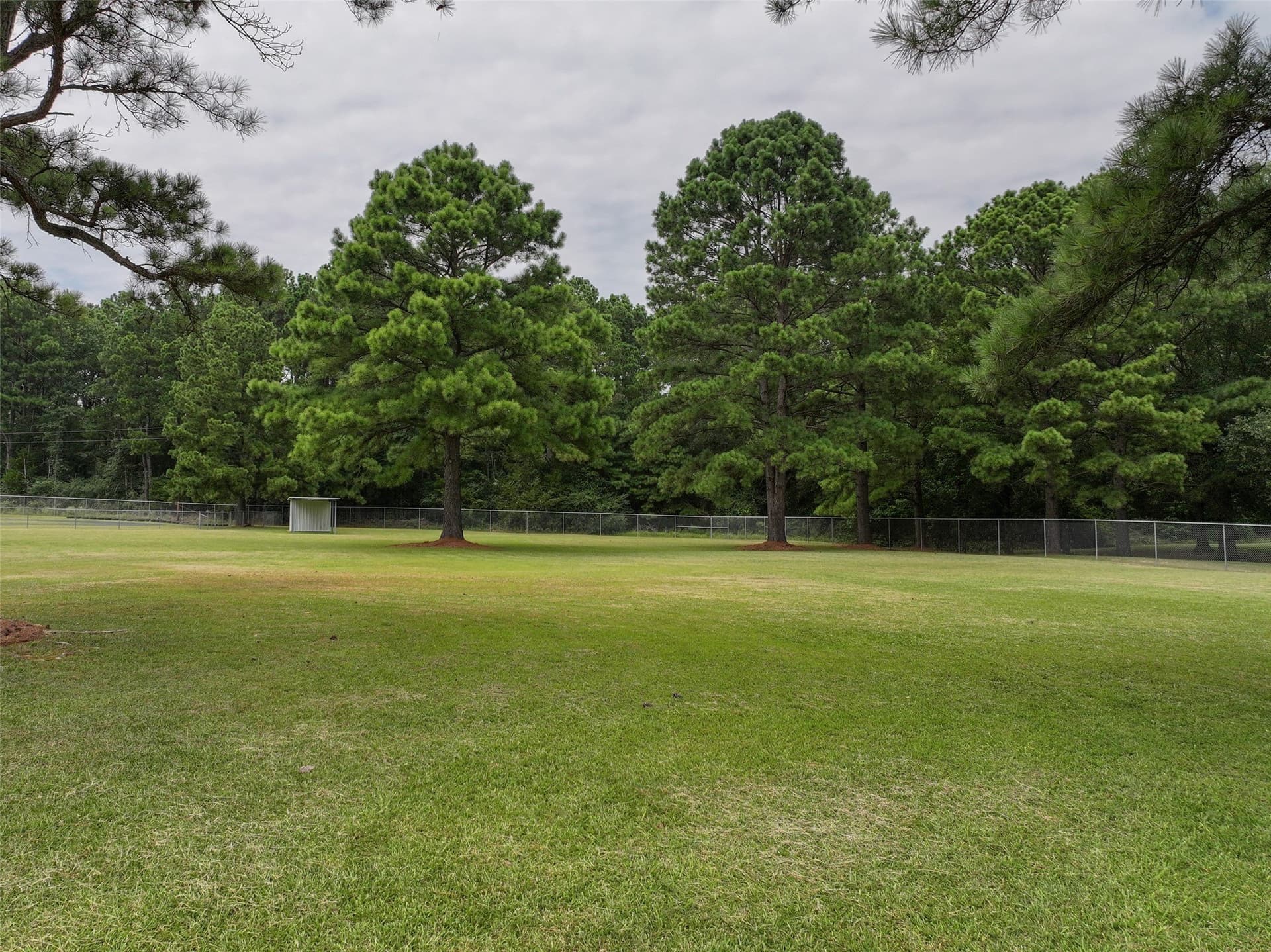 5.28 acres in Bowie County - photo 12