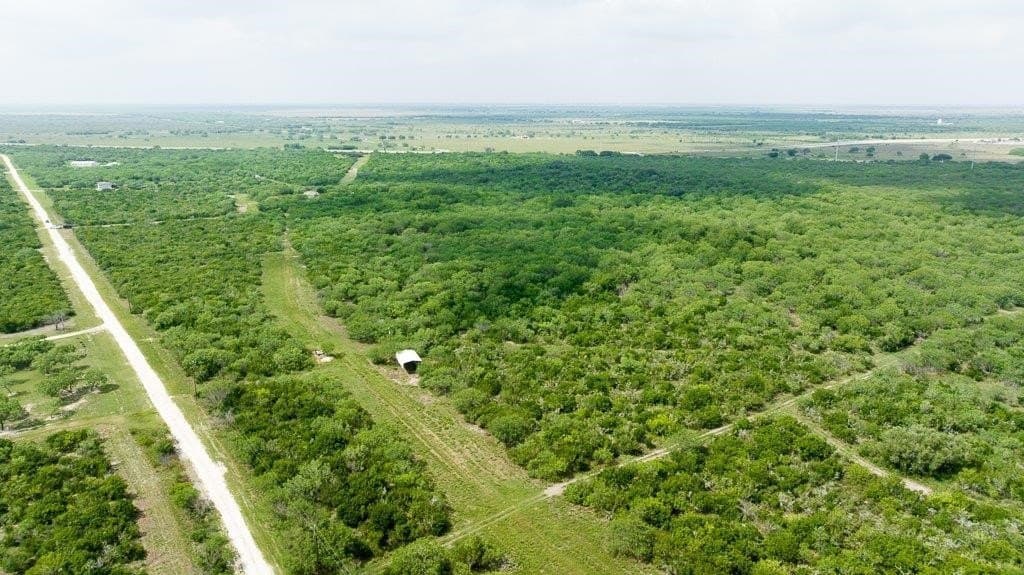 33.57 acres in Bee County - photo 22