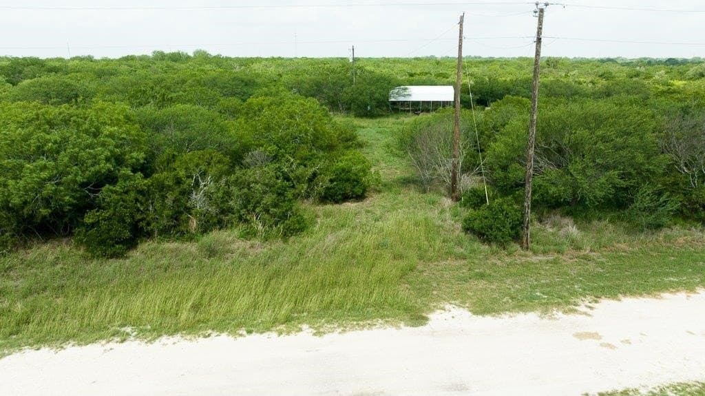 33.57 acres in Bee County gallery image 2
