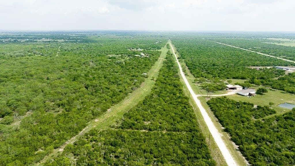 33.57 acres in Bee County - photo 14