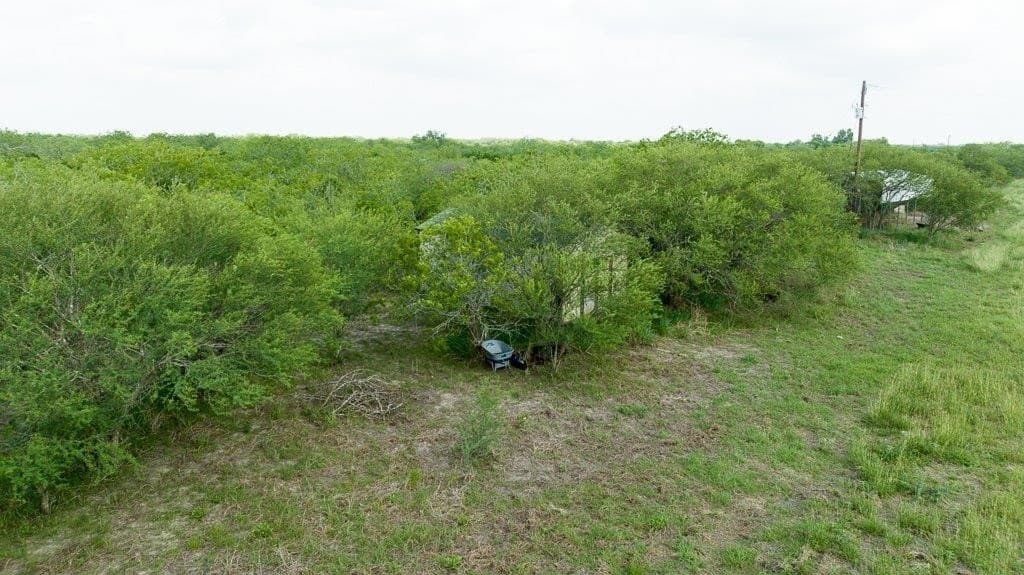 33.57 acres in Bee County gallery image 3