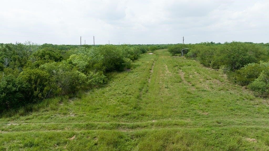 33.57 acres in Bee County - photo 8