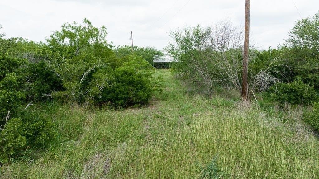 33.57 acres in Bee County - photo 11