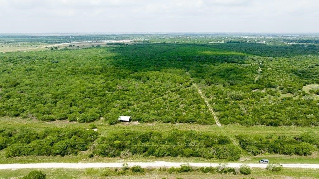 33.57 acres in Bee County - photo 13