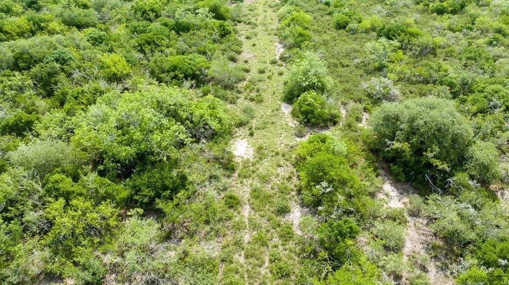 33.57 acres in Bee County - photo 17