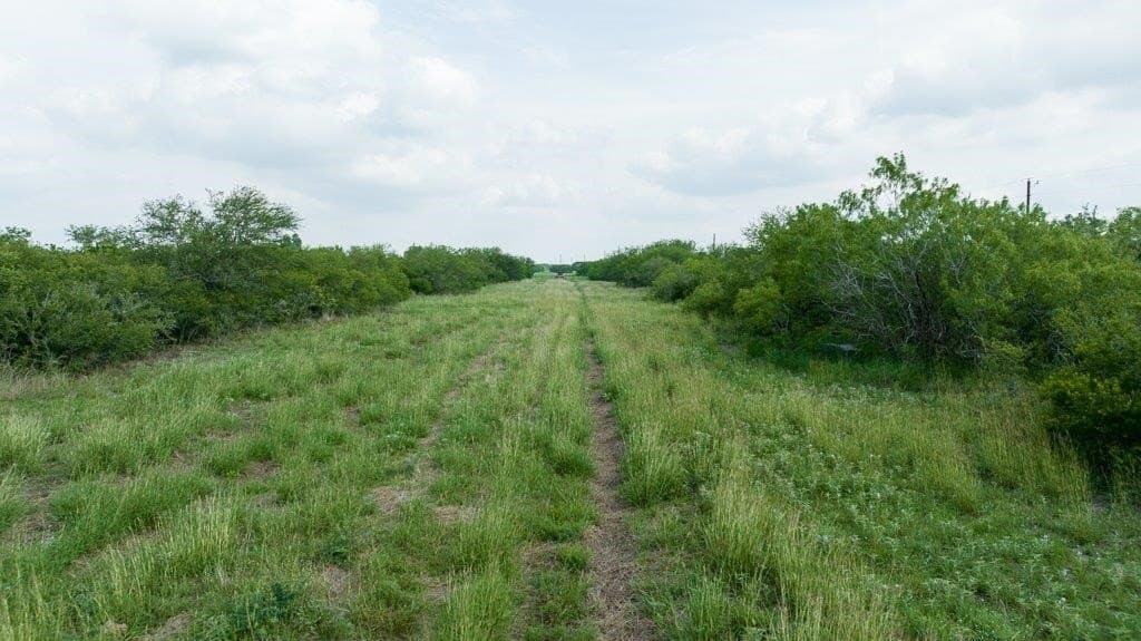 33.57 acres in Bee County - photo 7
