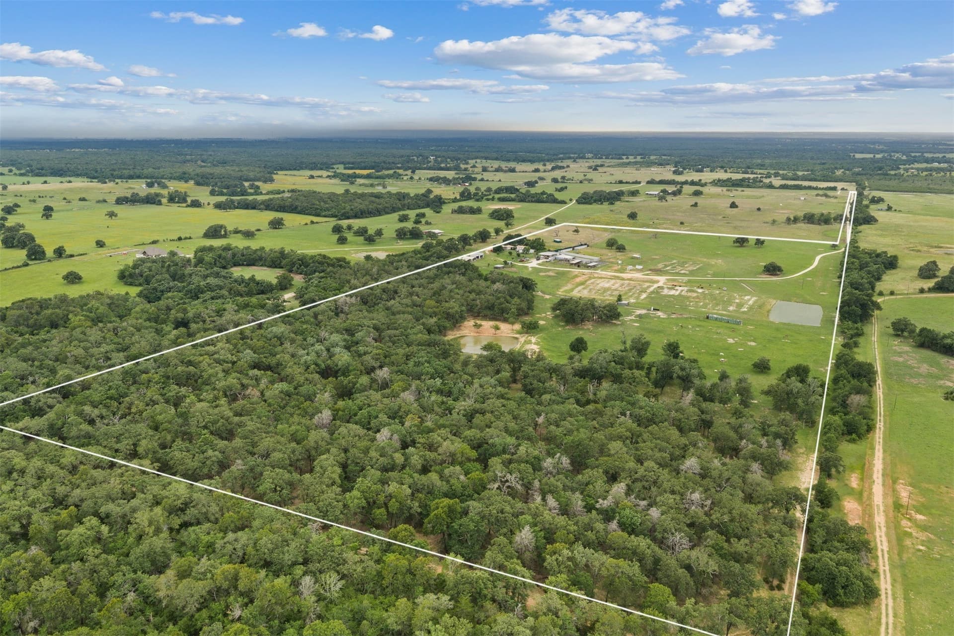 71 acres in Milam County gallery image 3