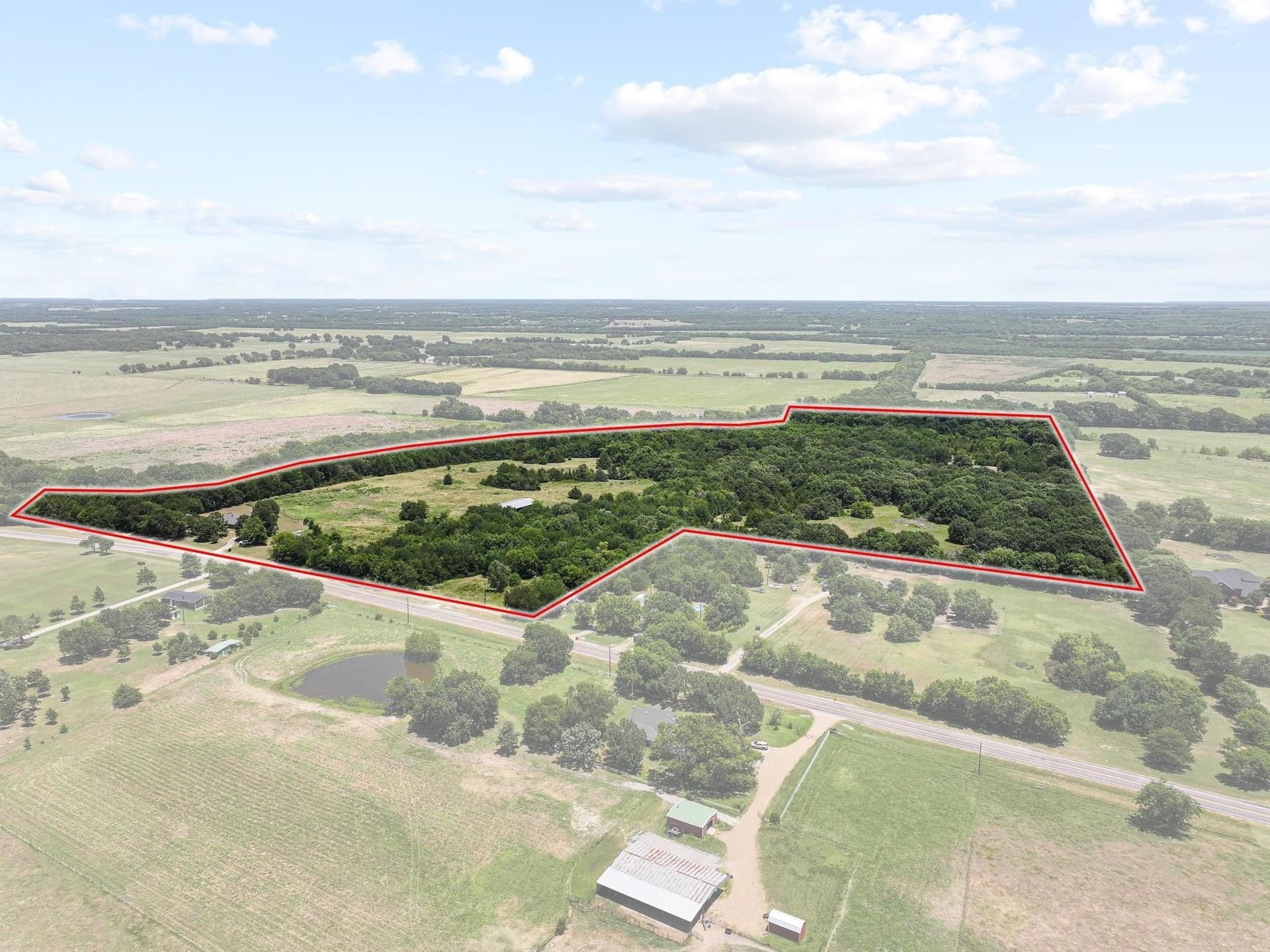 60 acres in Fannin County gallery image 3