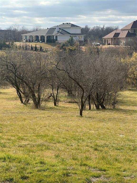 1.33 acres in Dallas County gallery image 4
