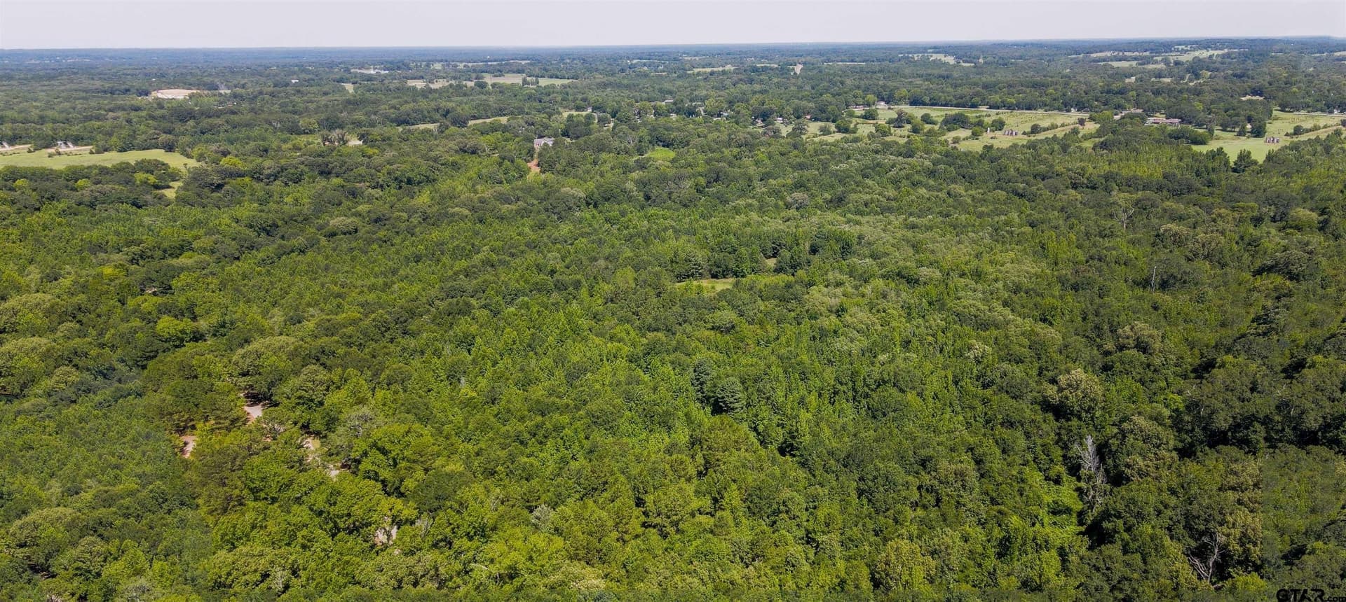 77.8 acres in Wood County gallery image 2