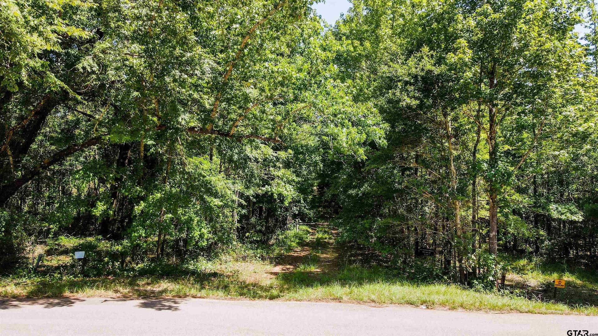 77.8 acres in Wood County featured view