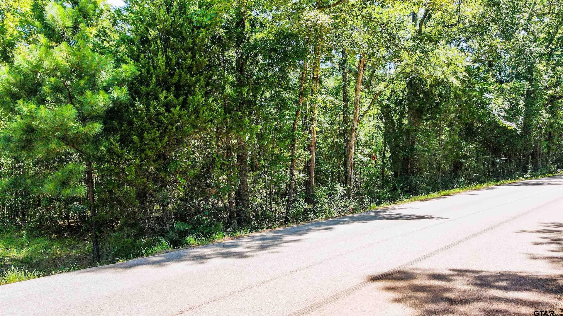 77.8 acres in Wood County gallery image 3