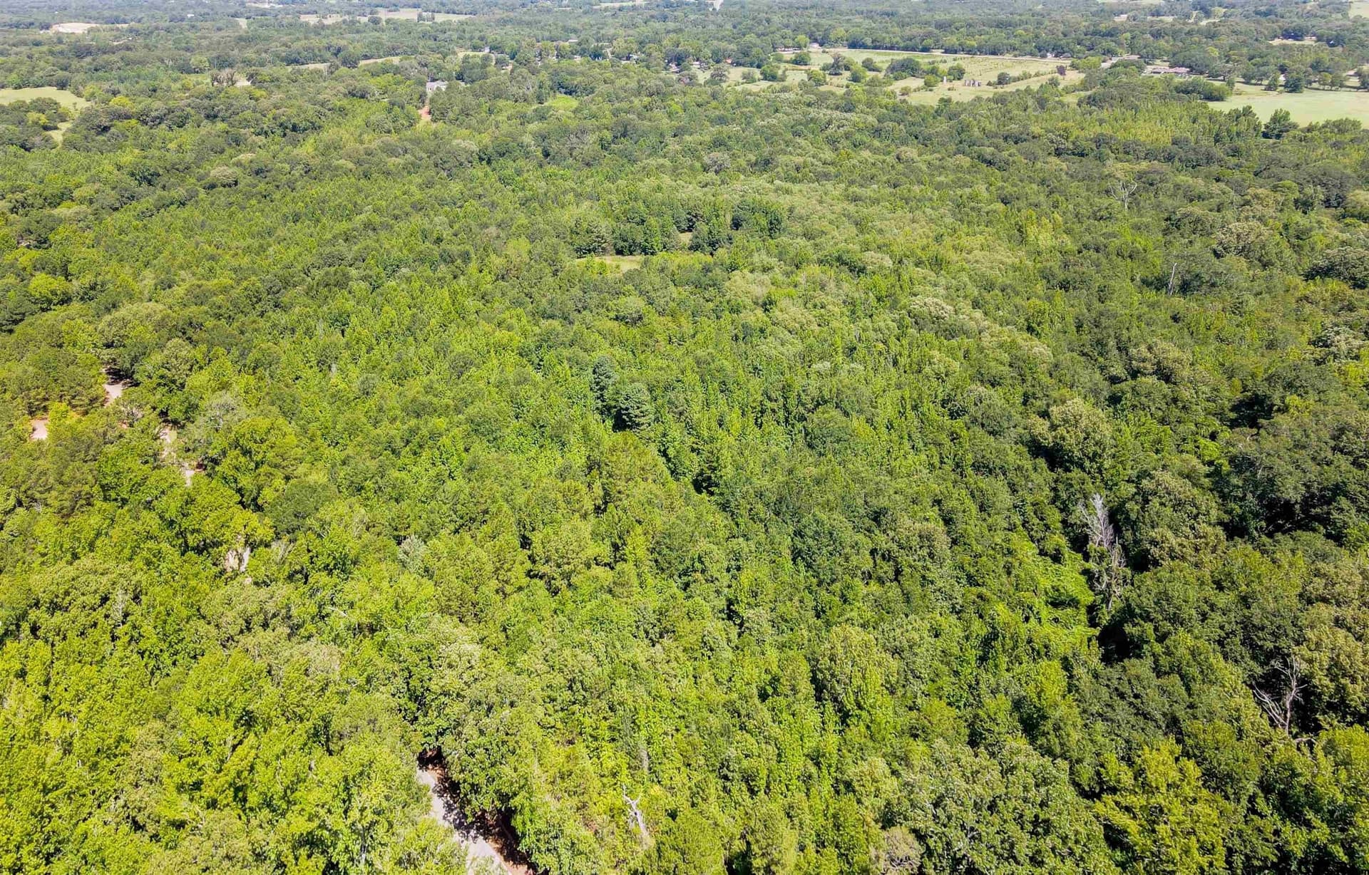 77.8 acres in Wood County gallery image 4