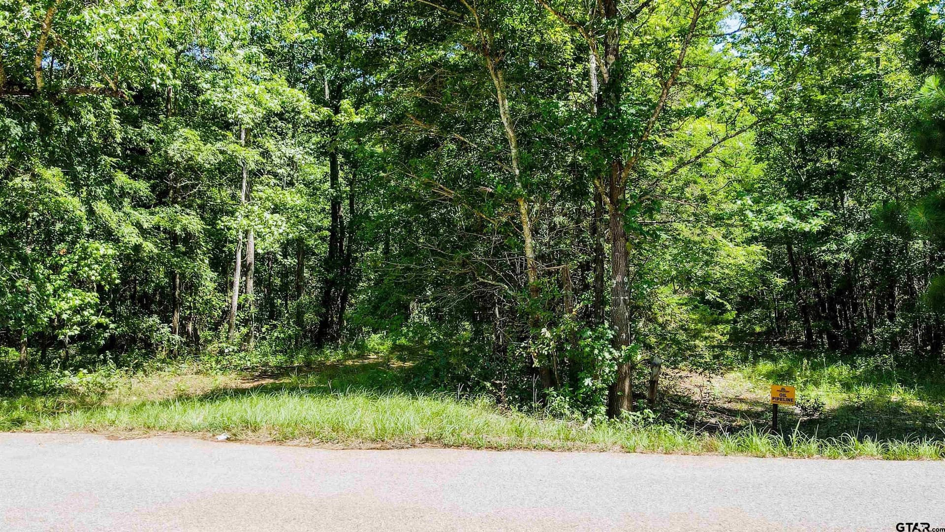 77.8 acres in Wood County - photo 8