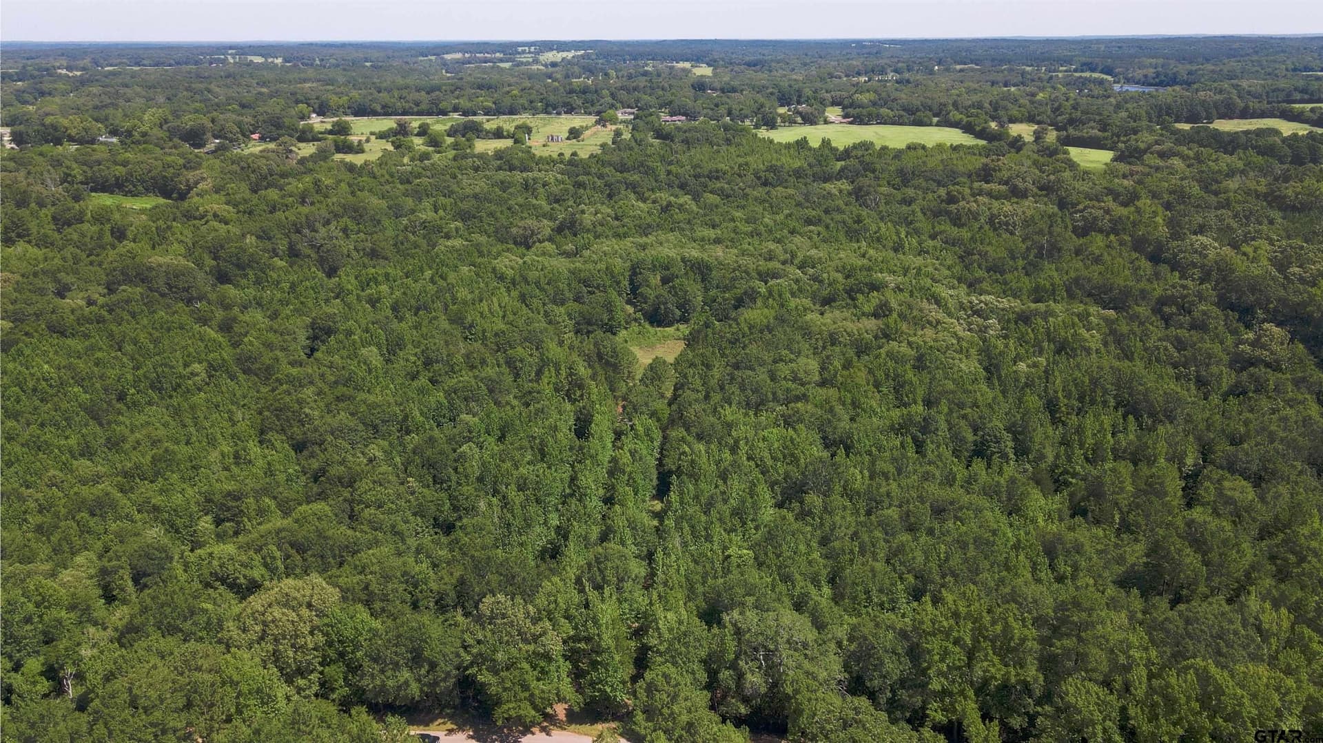 77.8 acres in Wood County - photo 7