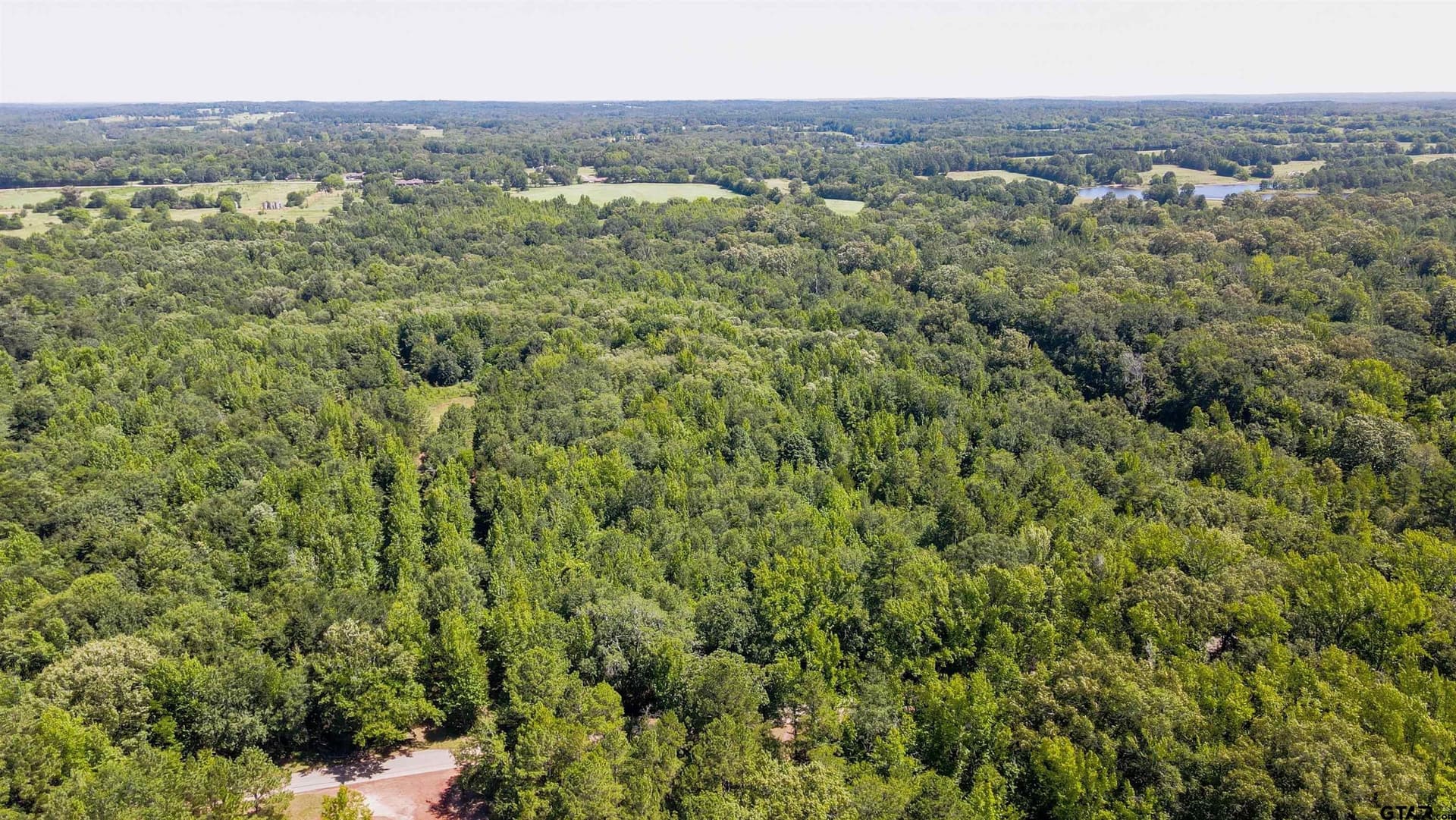 77.8 acres in Wood County - photo 6