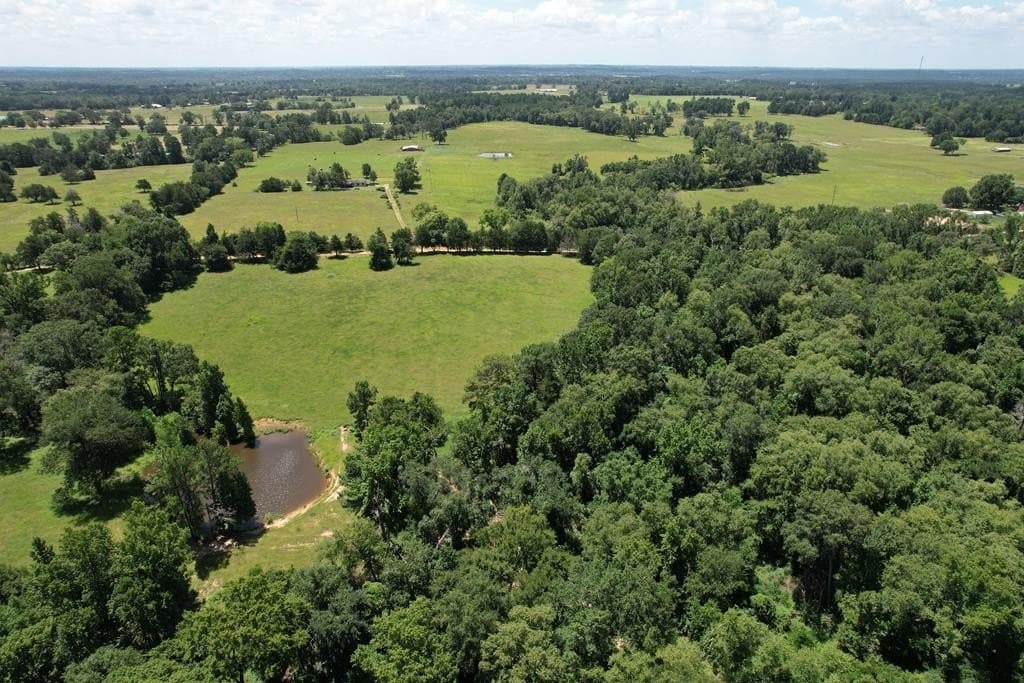 46.61 acres in Houston County