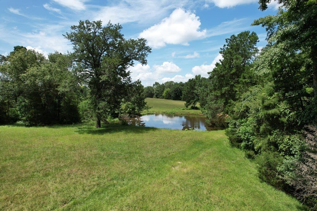 46.61 acres in Houston County gallery image 4