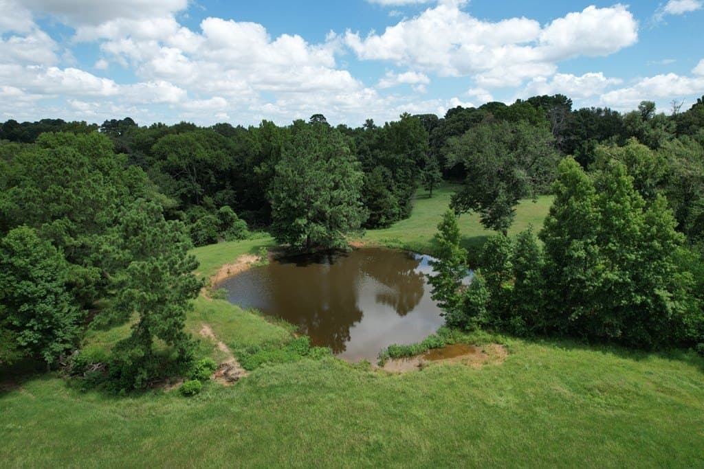 46.61 acres in Houston County featured view