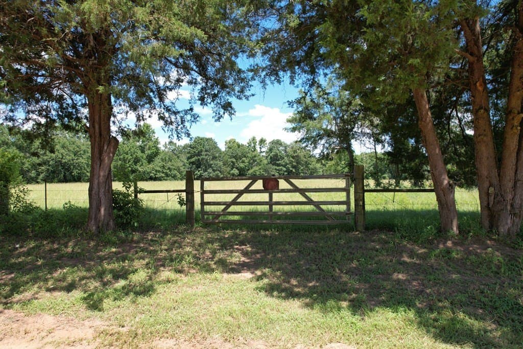 46.61 acres in Houston County gallery image 3