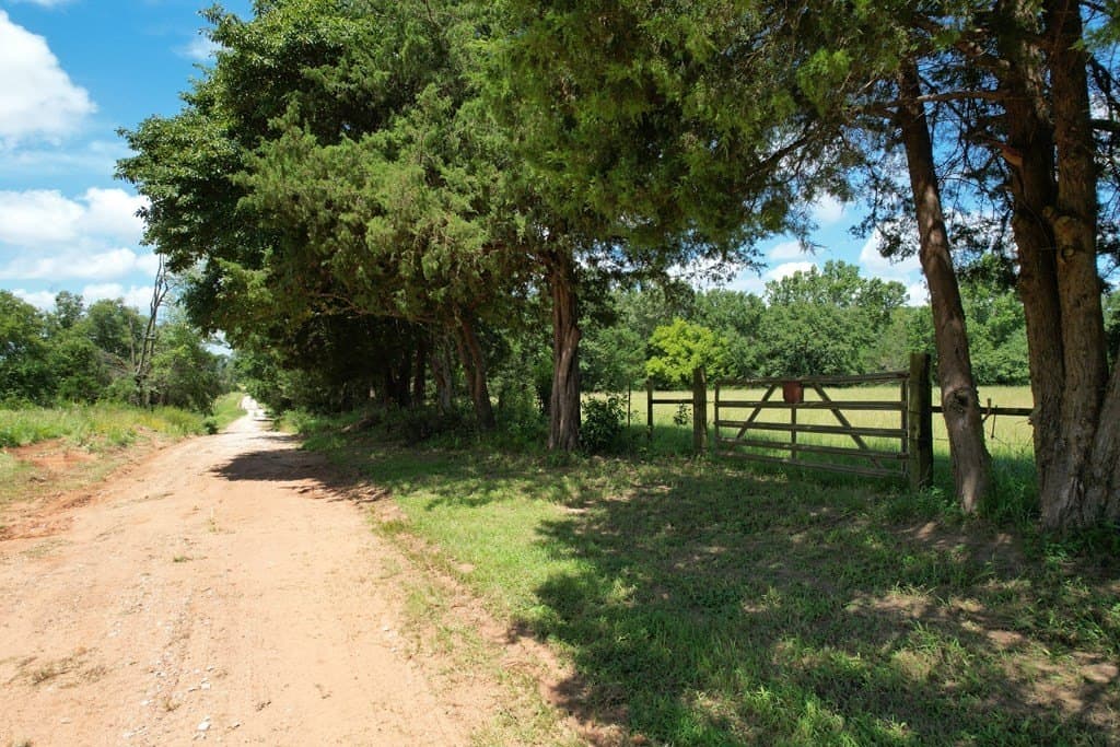 46.61 acres in Houston County gallery image 2