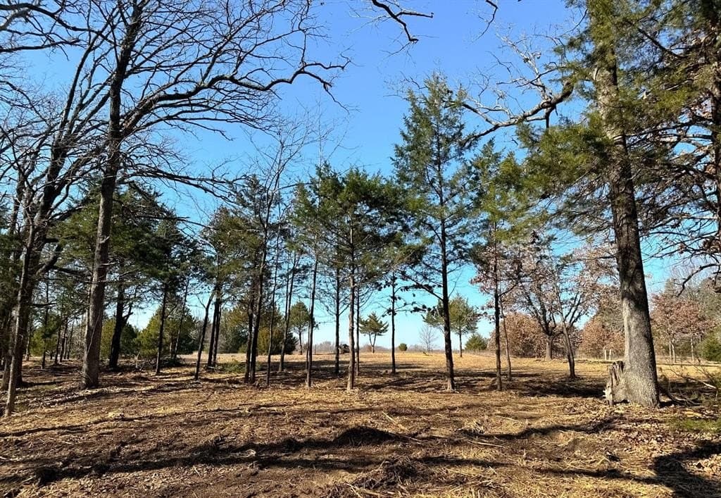 16.87 acres in Grayson County