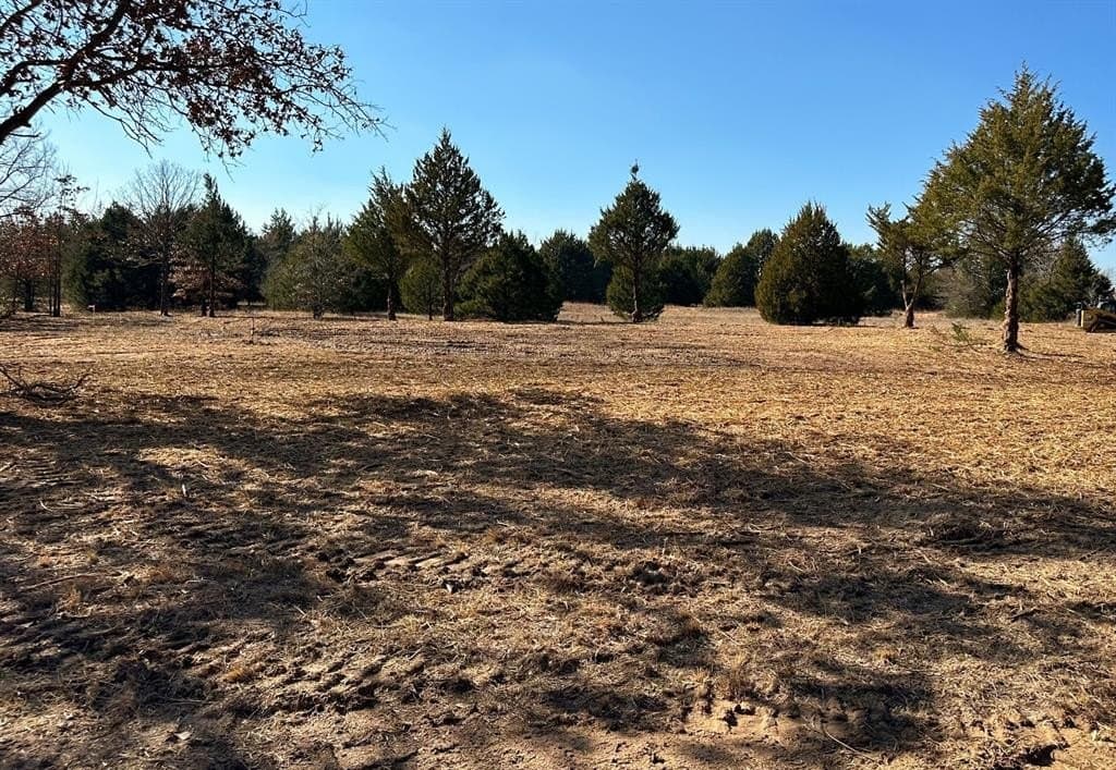 16.87 acres in Grayson County gallery image 2