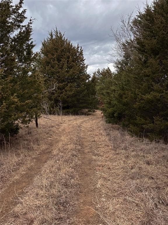 16.87 acres in Grayson County featured view
