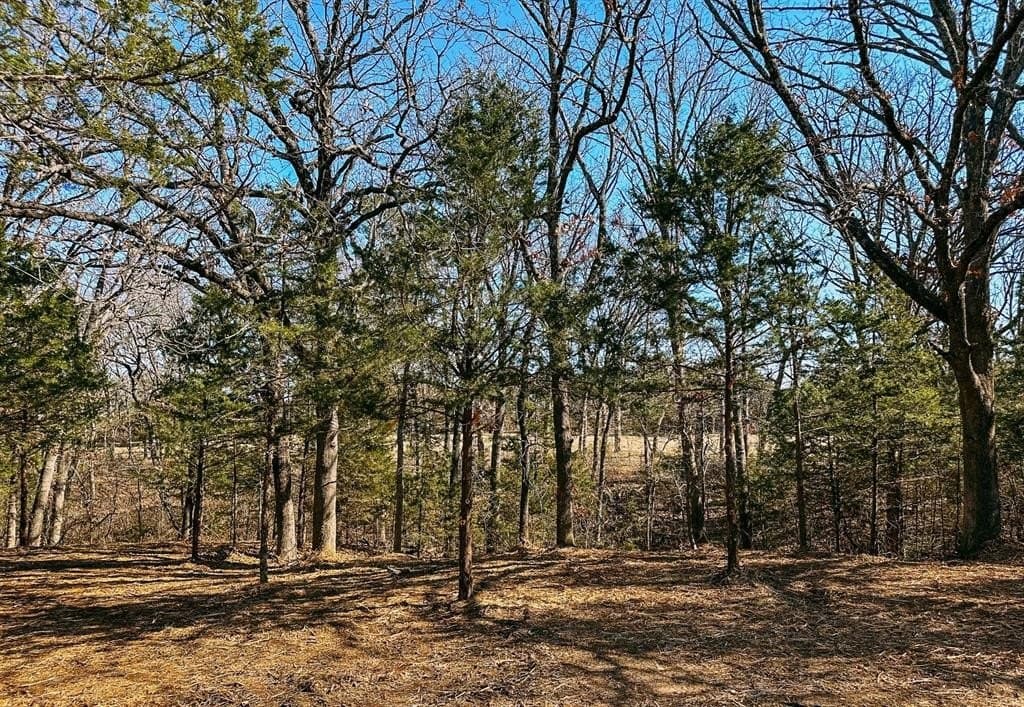 16.87 acres in Grayson County gallery image 4