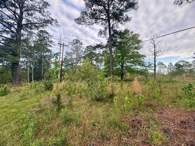 19.91 acres in Texas County - photo 12