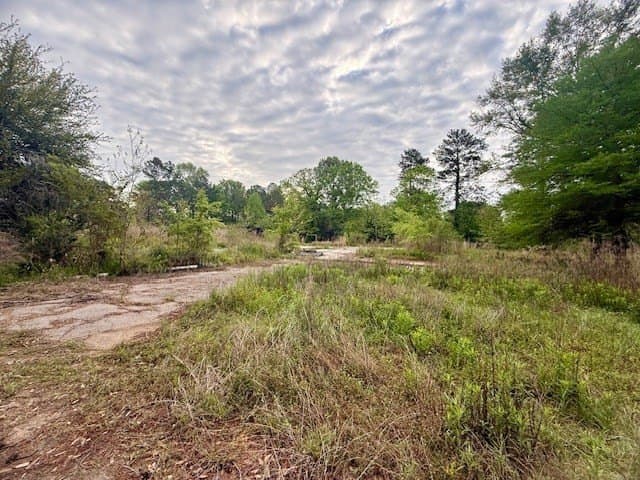 19.91 acres in Texas County - photo 7