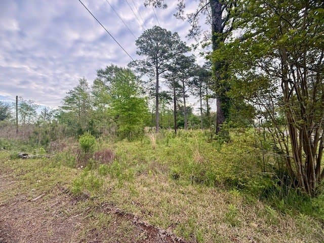 19.91 acres in Texas County - photo 8