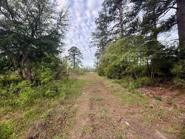 19.91 acres in Texas County - photo 11