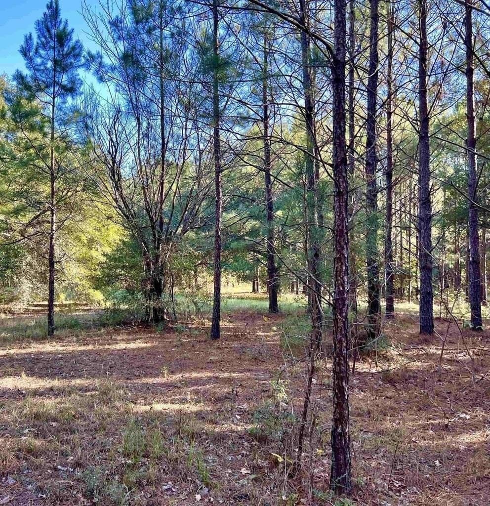 19.91 acres in Texas County - photo 6