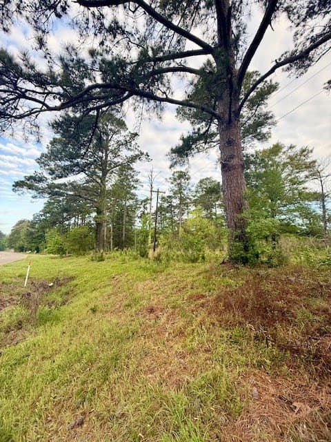 19.91 acres in Texas County - photo 10