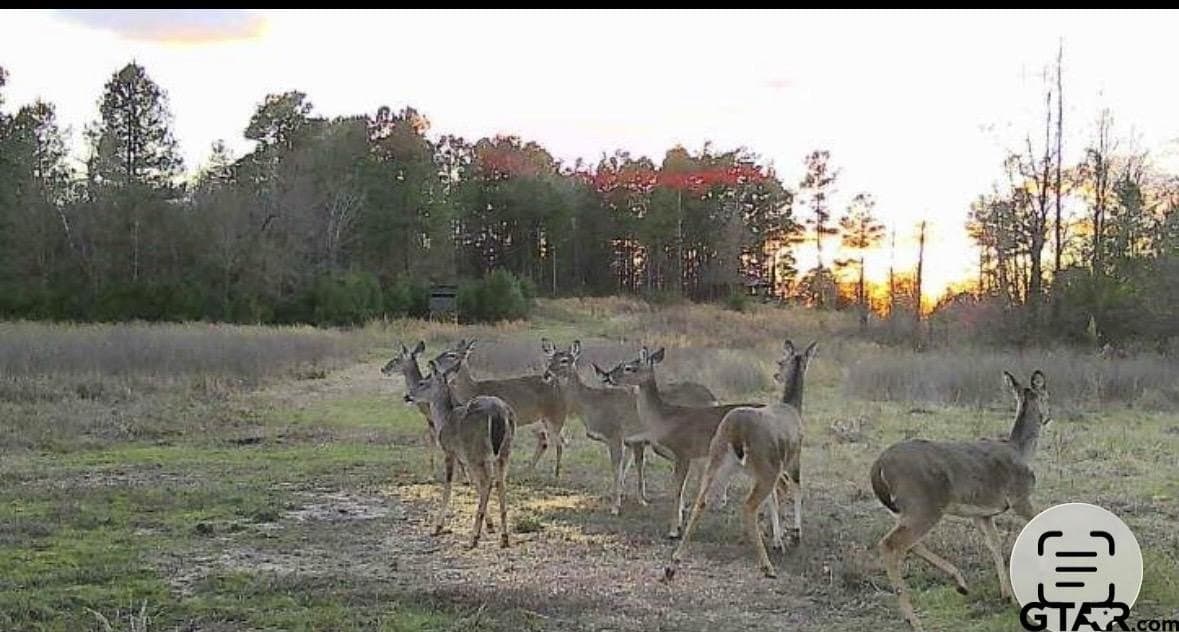 70.18 acres in Smith County - photo 42
