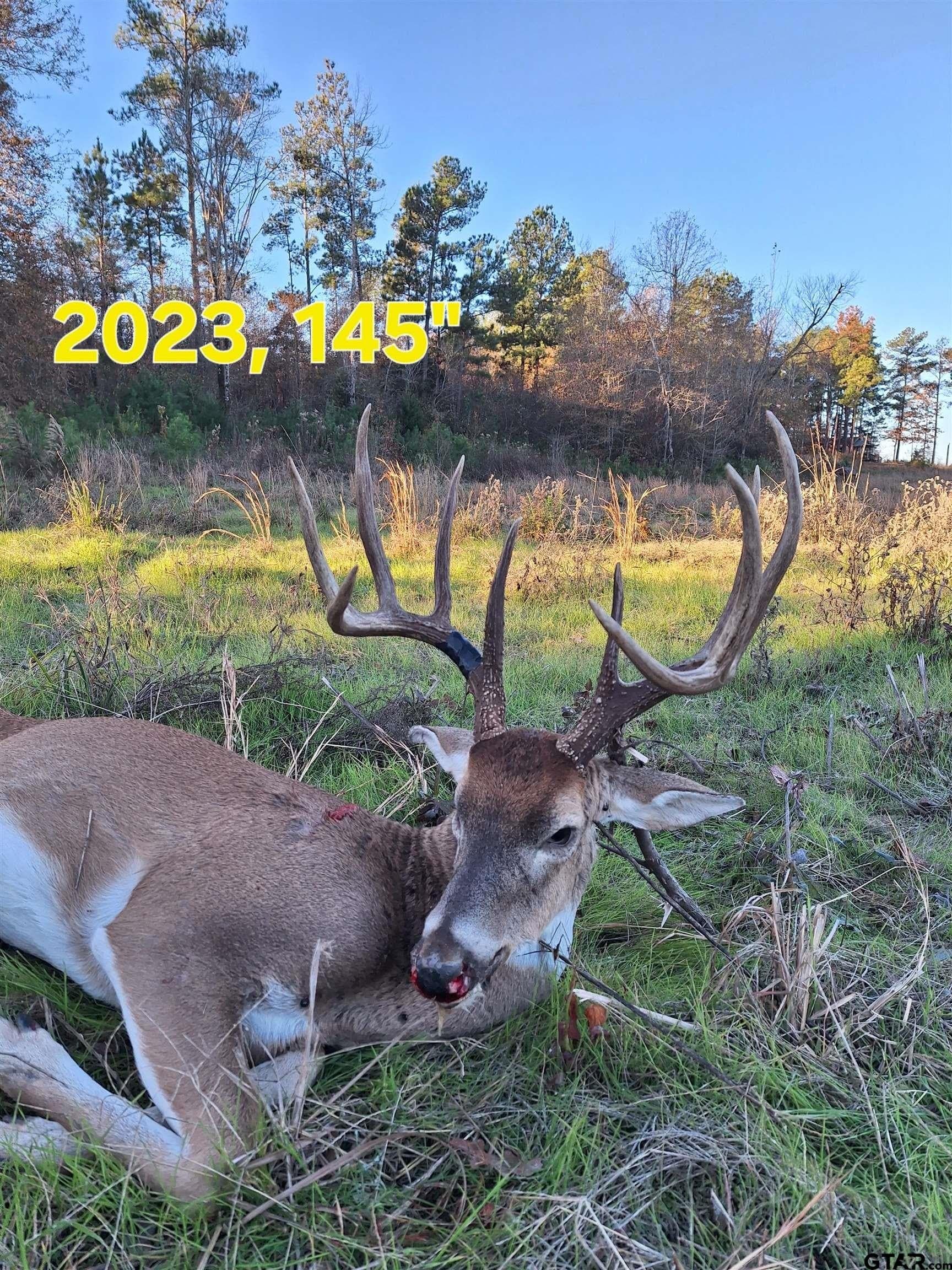 70.18 acres in Smith County - photo 43