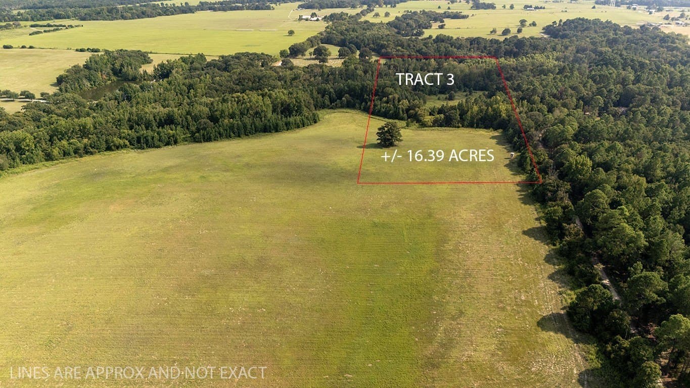 16.36 acres in Henderson County gallery image 4