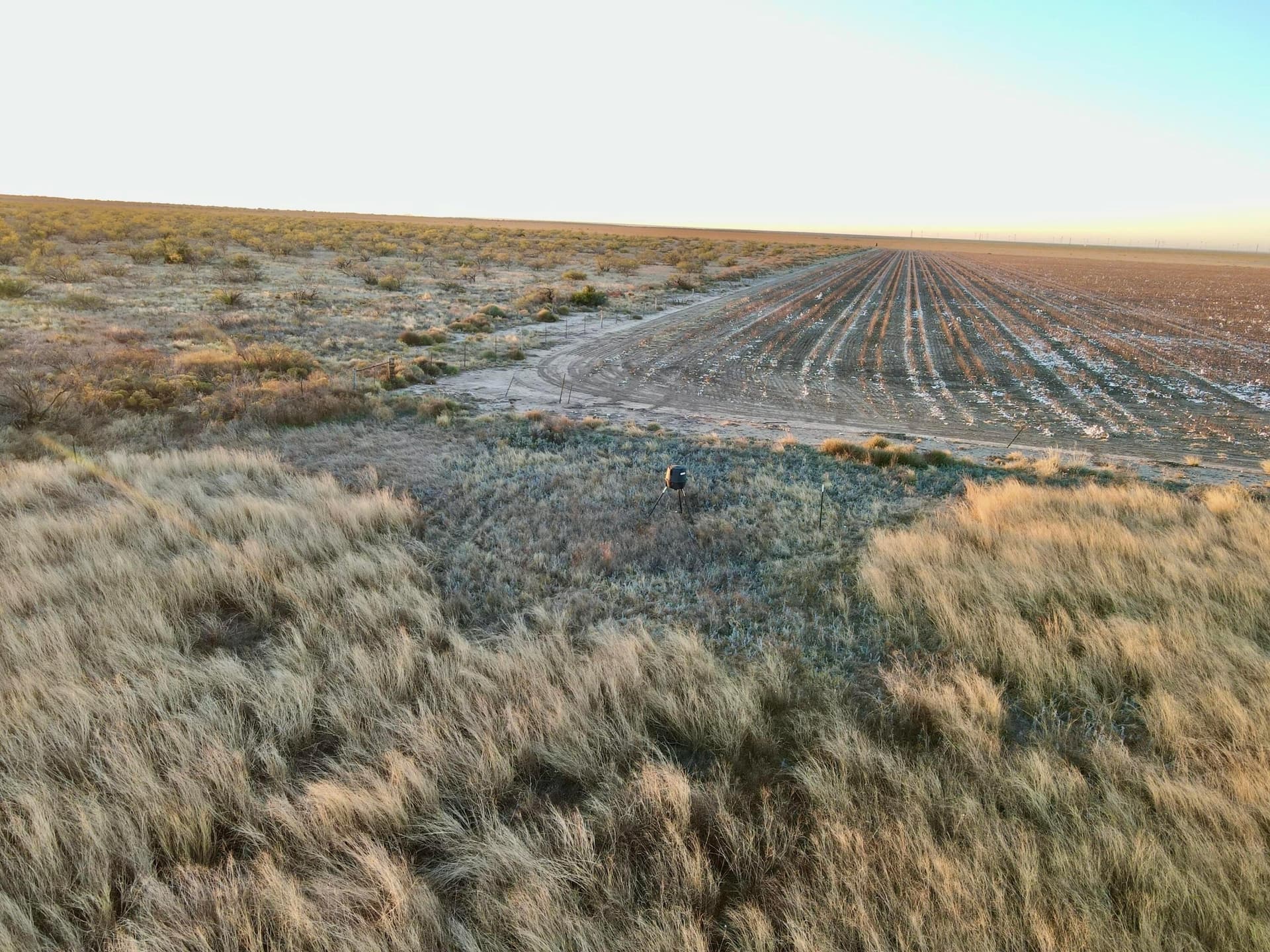 80 acres in Briscoe County