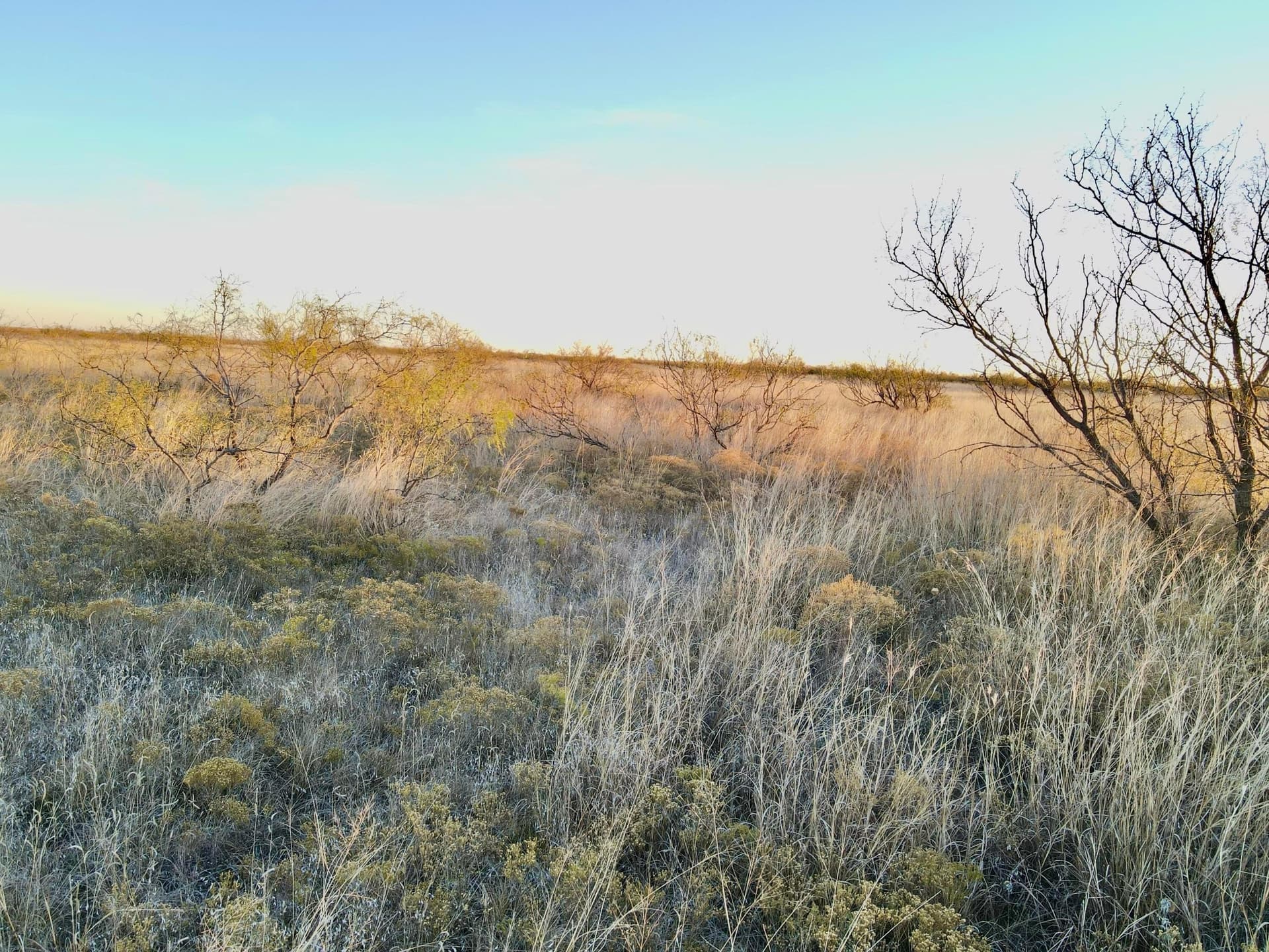 80 acres in Briscoe County featured view