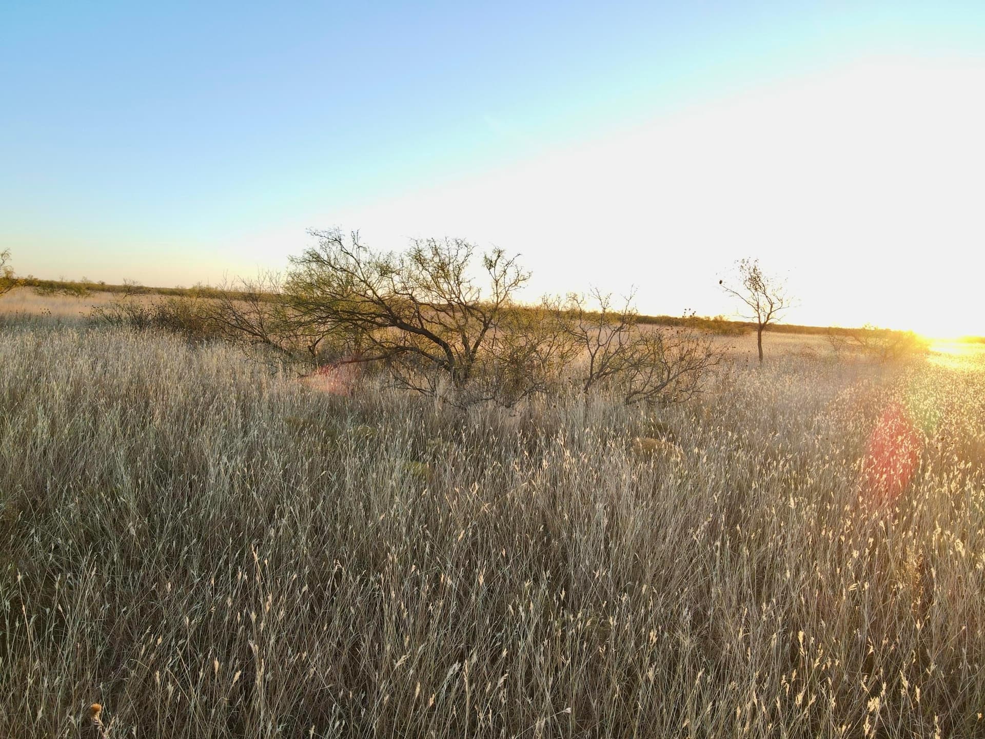 80 acres in Briscoe County gallery image 4